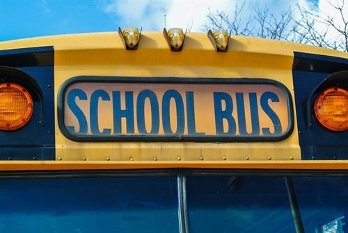 NSD is looking for School Bus Drivers!